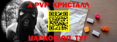 a pvp Кингисепп