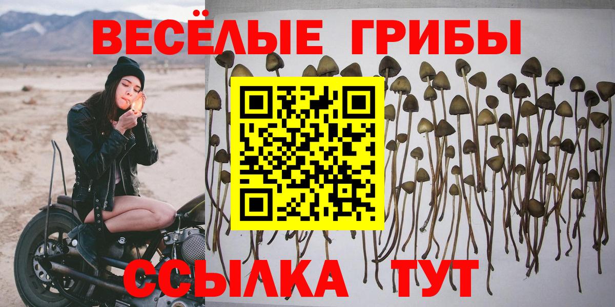 Псилоцибиновые грибы мухоморы Клин