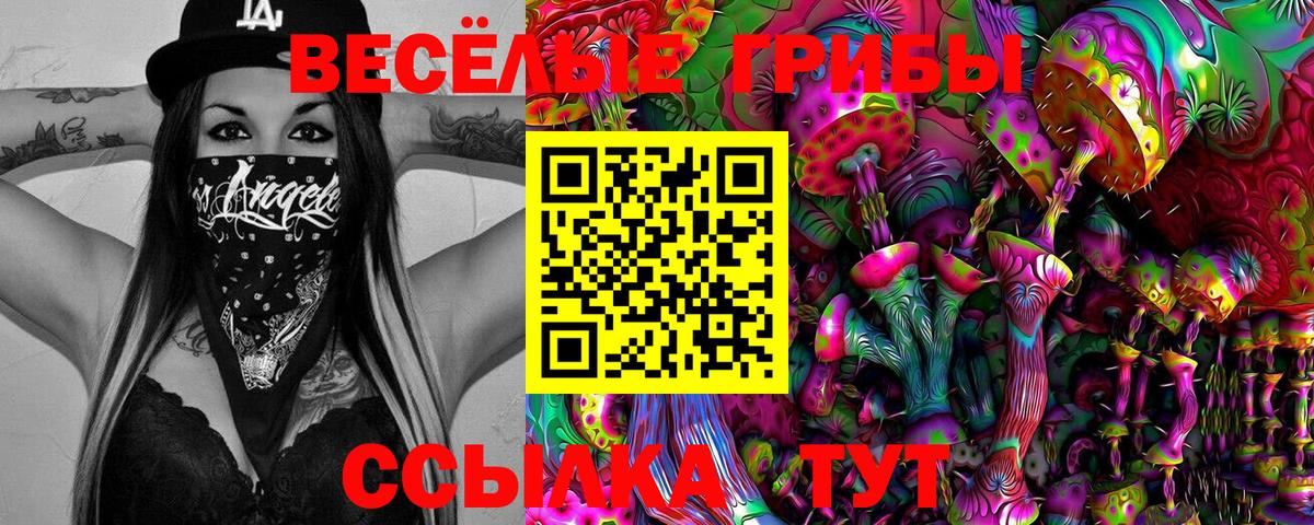 купить   Псилоцибиновые грибы GOLDEN TEACHER  Клин  Вход с VPN  Псилоцибиновые грибы прущие грибы 
